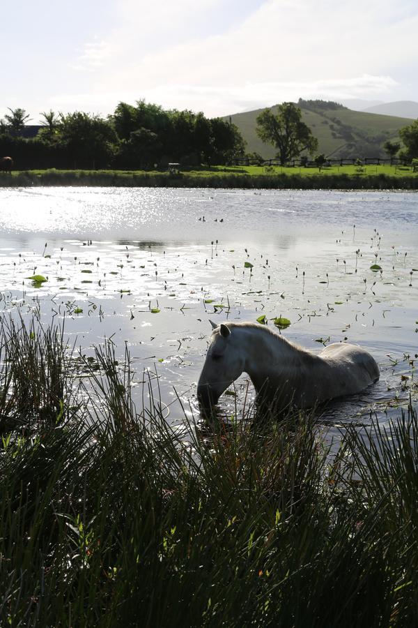 Hakuna Matata Game Farm Great Brak River Экстерьер фото