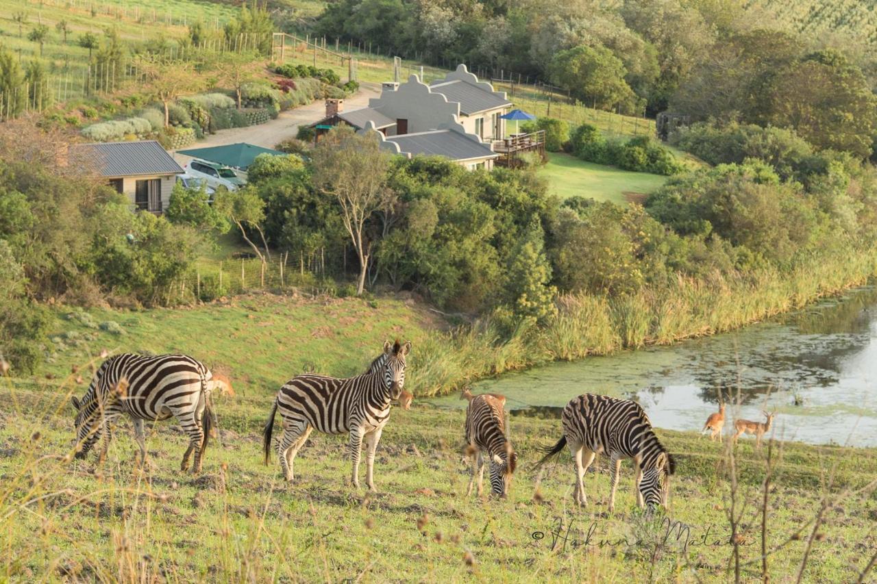 Hakuna Matata Game Farm Great Brak River Экстерьер фото